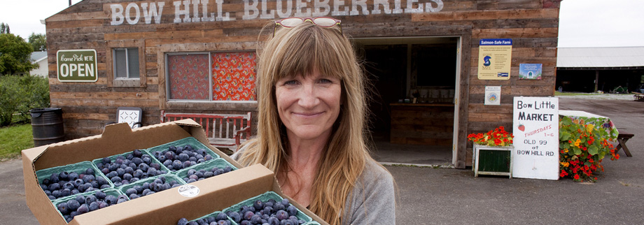 bow-hill-blueberries
