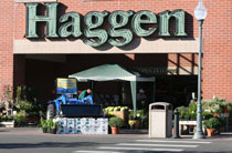 Haggen