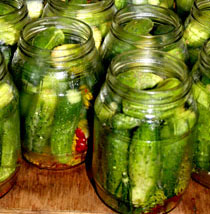 pickles