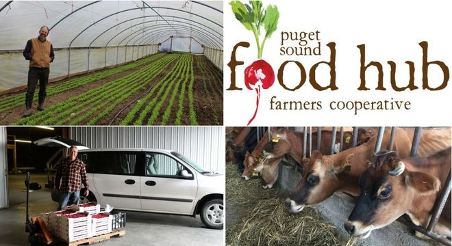 Puget Sound Food Hub Cooperative Now Hiring for Marketing & Sales Manager