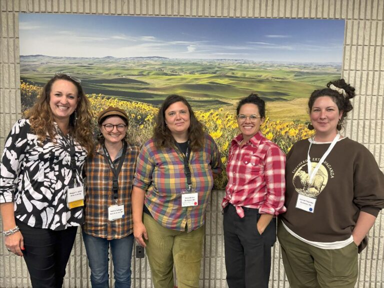 Pacific Northwest Sheep’s Wool Producers Committee Aims to Incorporate