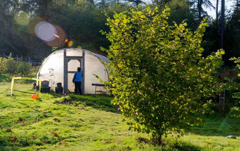 NW Transition to Organic Partnership Program Lunch & Learn