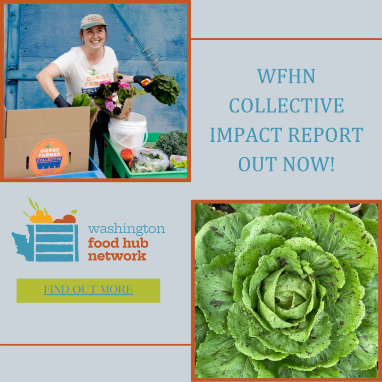 Washington Food Hub Network Collective Impact Dashboard 2025 Now Available