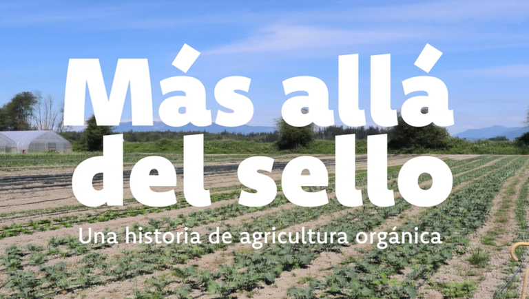 Más allá del sello (Beyond the Seal): A Story of Organic Agriculture
